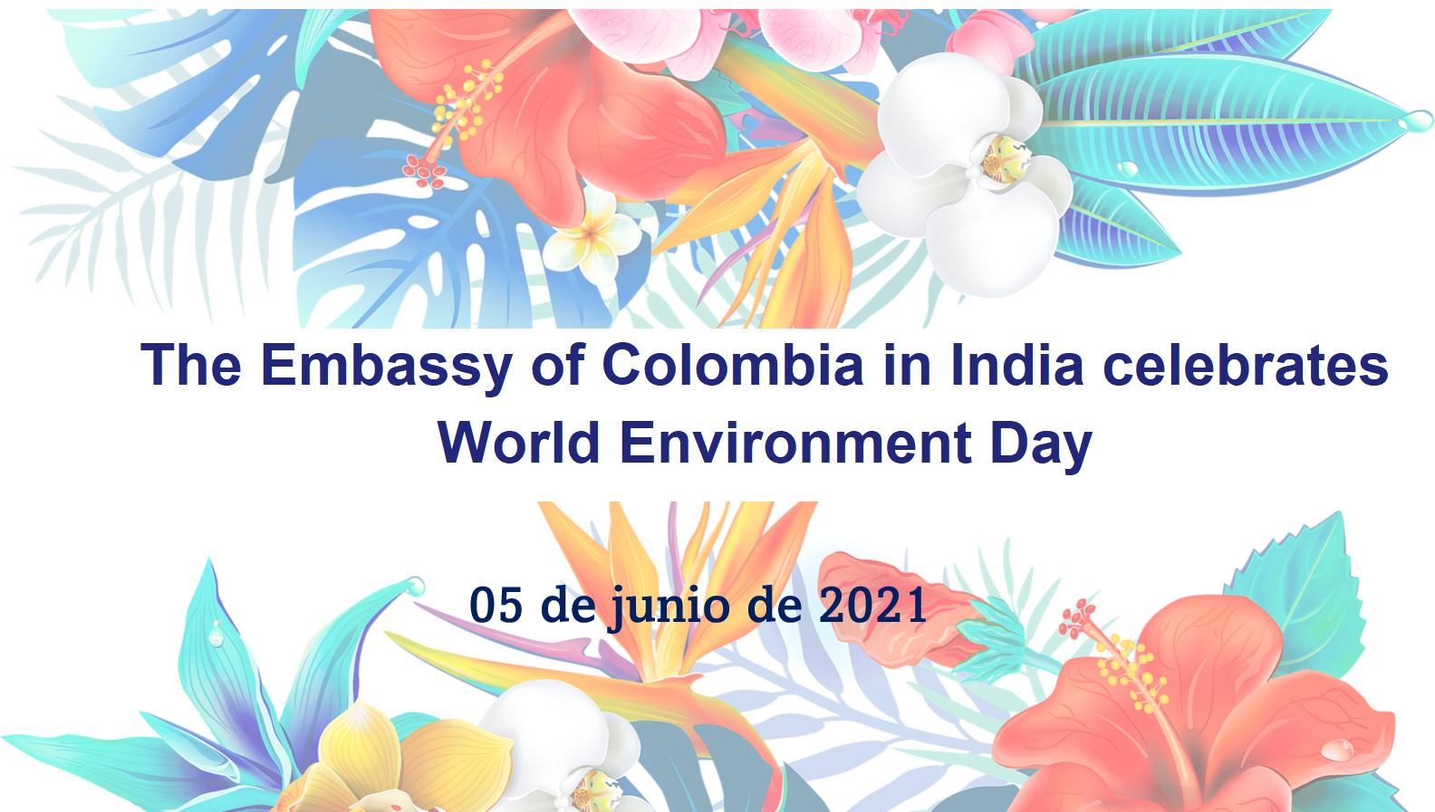 The Embassy of Colombia in India celebrates World Environment Day